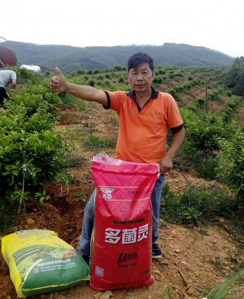 多菌靈種植戶反饋