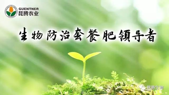 菌肥 生物菌肥 微生物菌肥