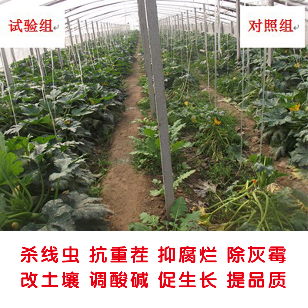 微生物有機(jī)菌肥 復(fù)合微生物菌劑 復(fù)合微生物菌肥