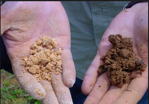 微生物有機(jī)菌肥 復(fù)合微生物菌劑 復(fù)合微生物菌肥