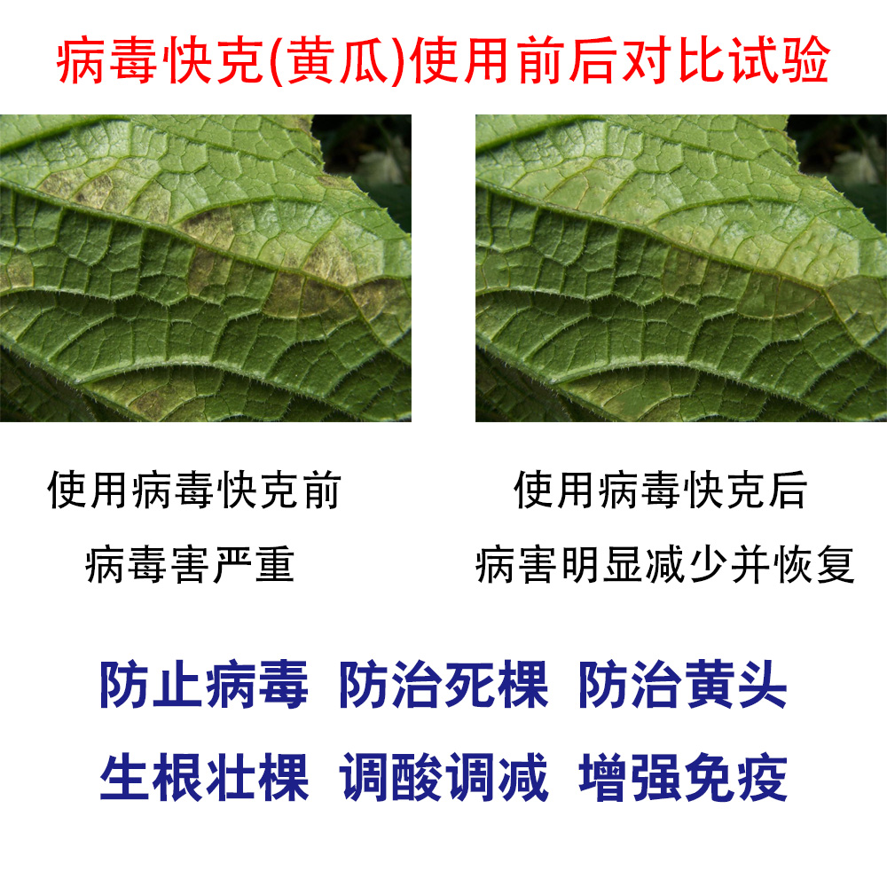 微生物有機菌肥 復(fù)合微生物菌劑 復(fù)合微生物菌肥