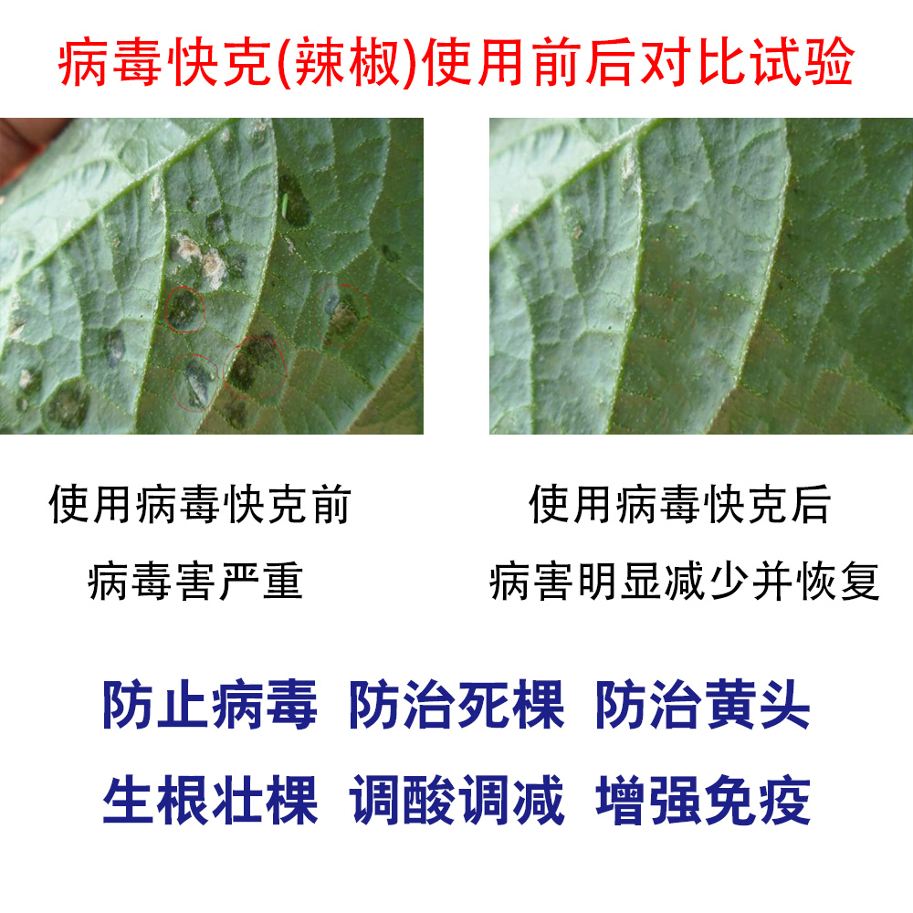 微生物有機菌肥 復(fù)合微生物菌劑 復(fù)合微生物菌肥