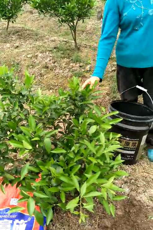 菌肥 微生物菌肥 微生物菌劑土壤改良劑生物有機肥