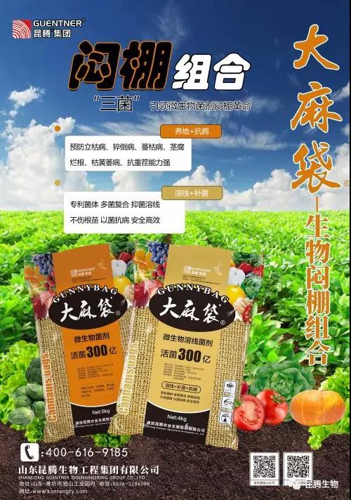 復(fù)合微生物菌劑廠家直銷 復(fù)合微生物菌劑效果怎么樣 復(fù)合微生物菌劑專治線蟲