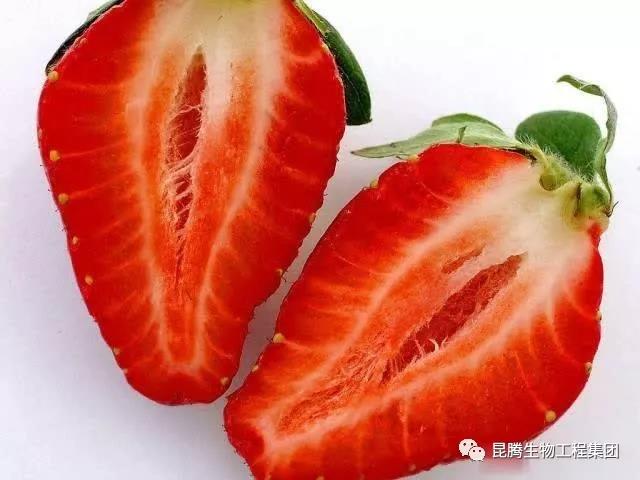 復(fù)合微生物菌肥廠家直銷(xiāo)