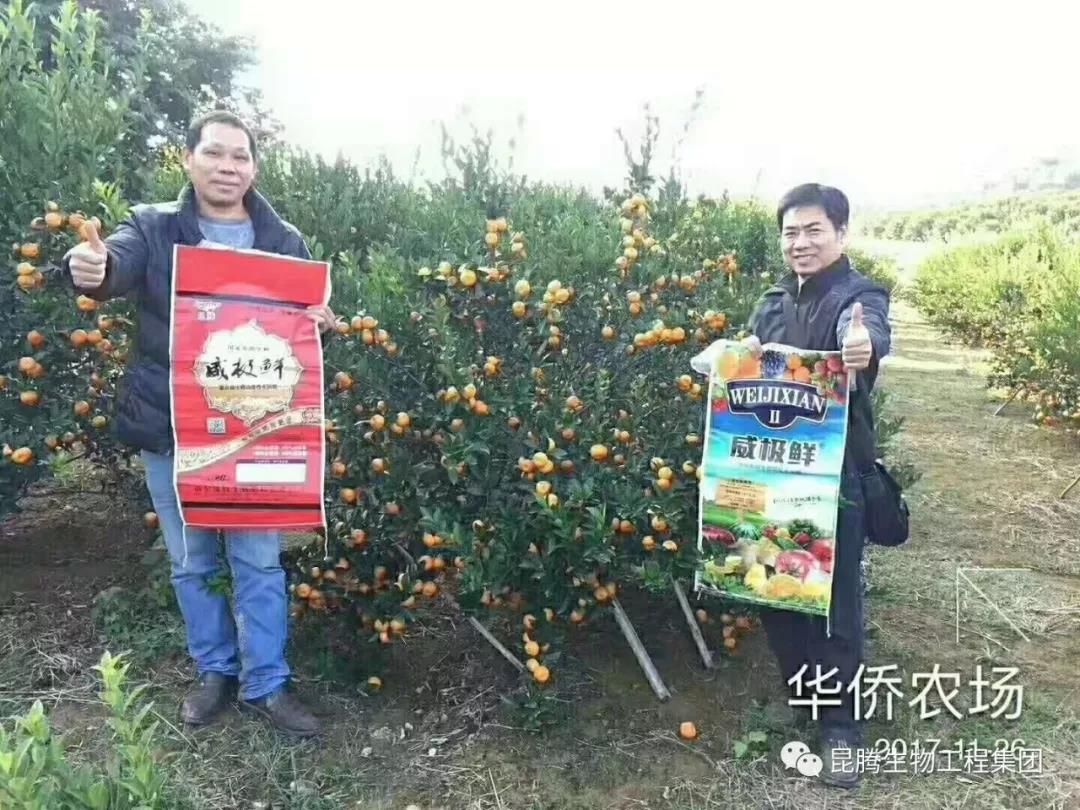 復(fù)合微生物菌劑復(fù)合微生物菌肥復(fù)合微生物有機(jī)菌肥廠家直銷