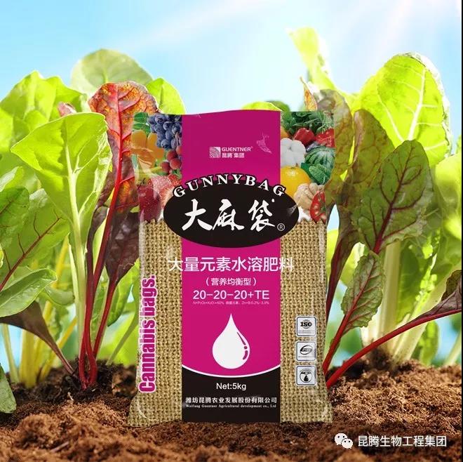 復(fù)合微生物菌劑復(fù)合微生物菌肥復(fù)合微生物有機(jī)菌肥廠家直銷