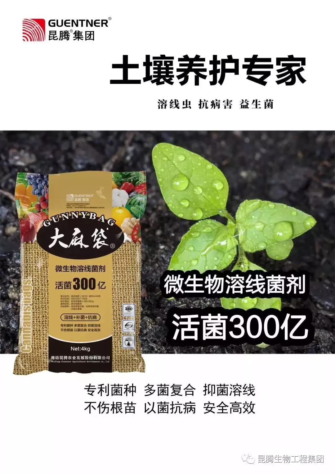 復(fù)合微生物菌肥廠家直銷