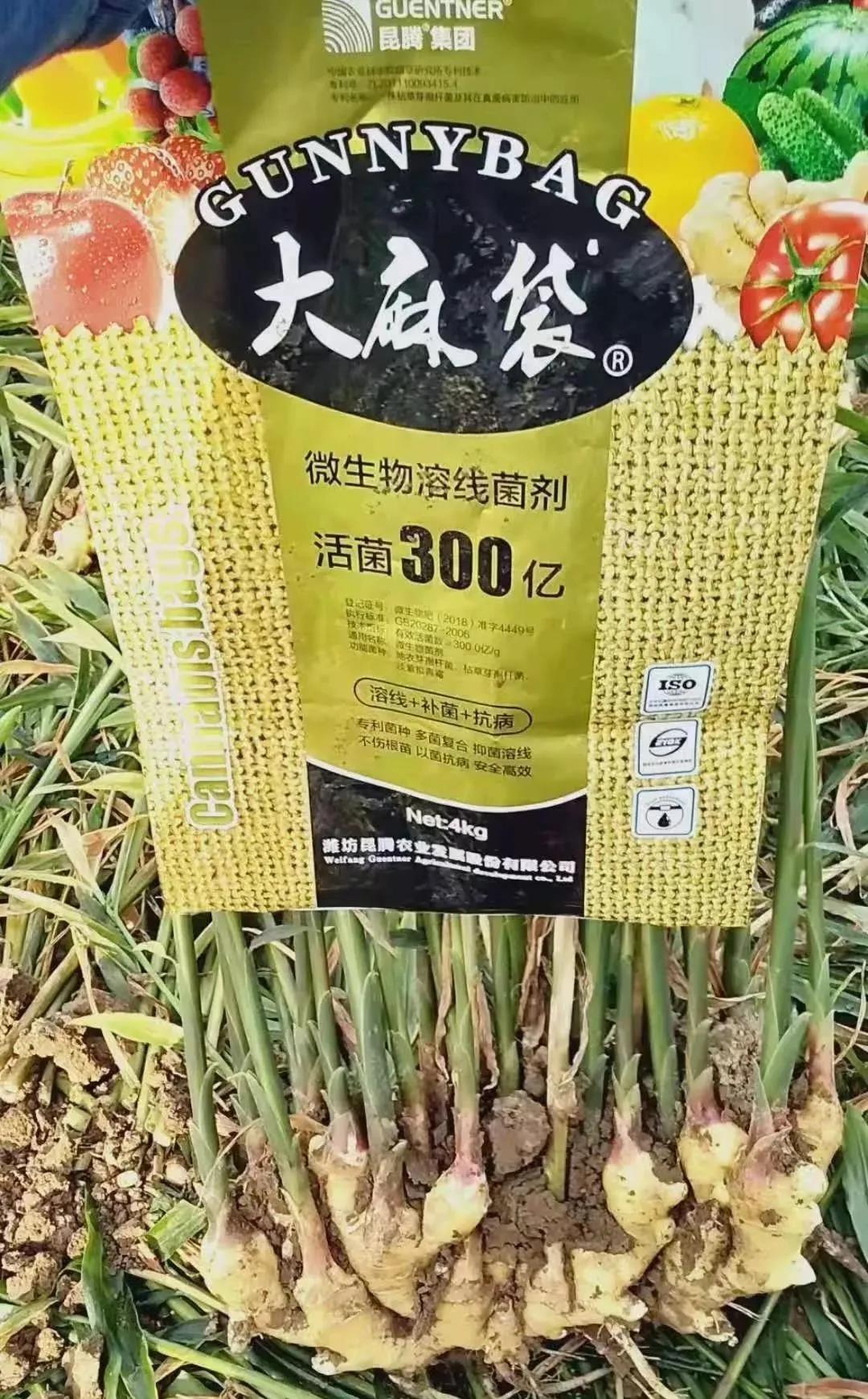 復(fù)合微生物菌肥廠家直銷(xiāo)