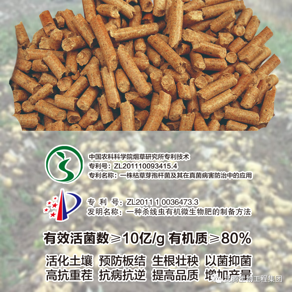 復(fù)合微生物菌肥廠家直銷(xiāo)