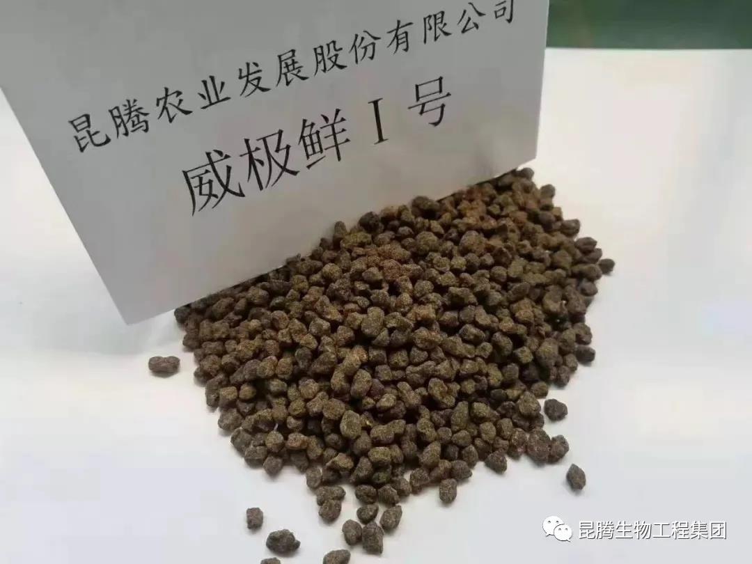 復(fù)合微生物菌肥廠家直銷